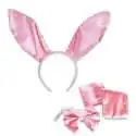 Costume lapine sexy