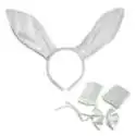 Costume lapine sexy