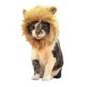 Costume de lion pour chat et petit chien déguisement