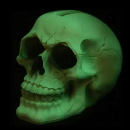 Tirelire tête de mort fluorescente brillant dans la nuit