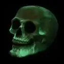 Tête de mort brillante de nuit fluorescente