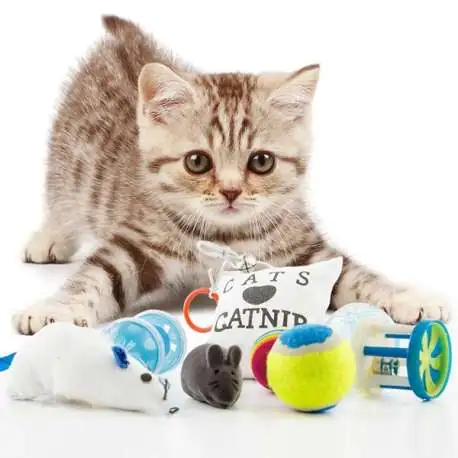 jouets pour chat : 1 coussin, 3 balles, 2 souris et 2 grelots