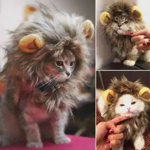 Costume de lion pour chat et petit chien déguisement