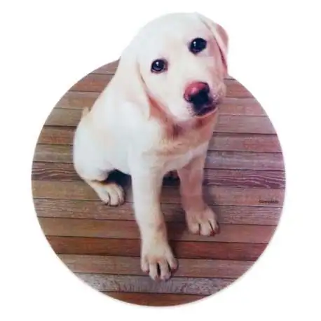 Tapis de souris informatique chiot labrador chien