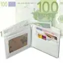Portefeuille billet de 100 euros