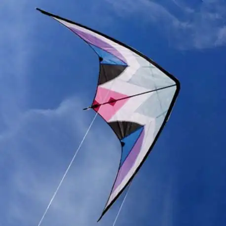 Cerf-volant acrobatique Delta en toile de nylon