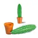 Stylo plante cactus et 1 pot