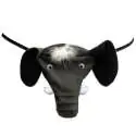 String sonore humoristique éléphant