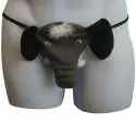 String sonore humoristique éléphant