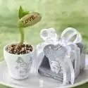 Plante haricot message LOVE en petit pot sur sa feuille