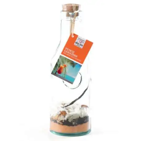 Mélange pour cocktail ti'Punch Caraïbes avec une carafe