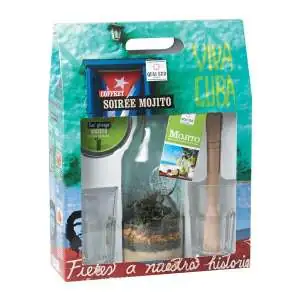 Ingrédients et accessoires pour Mojito avec 2 verres et 1 pilon