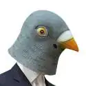 Masque pigeon en latex