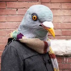 Masque pigeon en latex