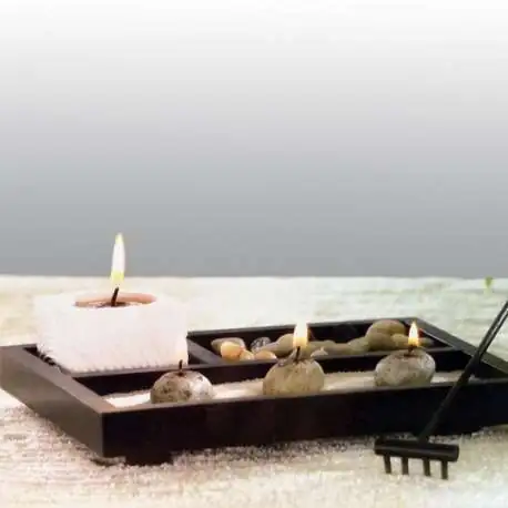 Jardin miniature zen decoration relaxation maison