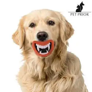Jouet pour chien en forme de bouche amusante