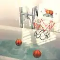 Jeu Basket de bain 1 panier à ventouses, 2 mini balles flottantes