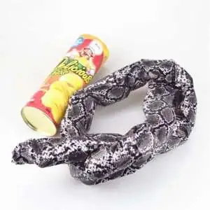 Boîte de Chips avec faux serpent à ressort