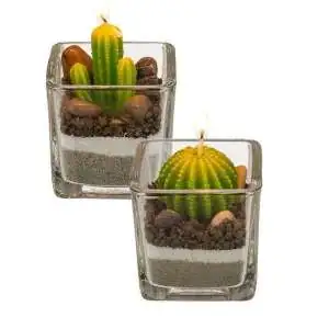 2 Bougies en forme de cactus pots décoratifs en verre
