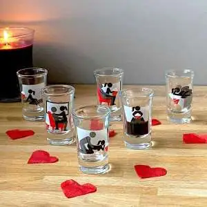 6 Verres à shot Kamasutra shooter