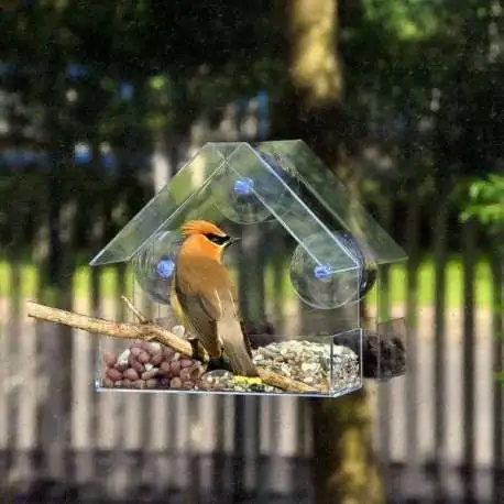 mangeoire à oiseaux relaxdays fenêtre - suspendu - transparent