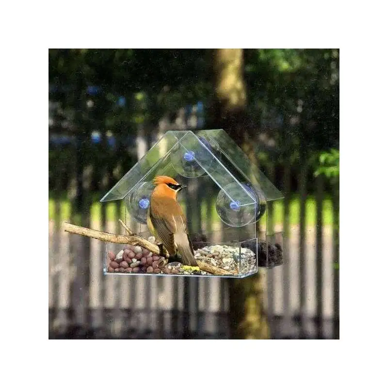 Mangeoire Transparent à oiseaux maison fenêtre distributeur de