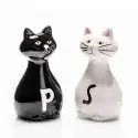 Duo sel poivre couple de chats saliere poivriere originale