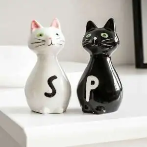 Duo sel poivre couple de chats saliere poivriere originale