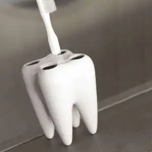 Porte brosse à dents en forme de dents molaire