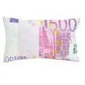 Coussin billet de banque 500 € Oreiller moelleux 500 euros