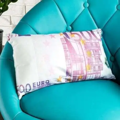 Coussin billet de banque 500 € Oreiller moelleux 500 euros