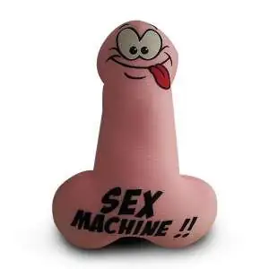 Coussin zizi à message coquin anti stress penis