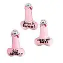 Coussin zizi à message coquin anti stress penis