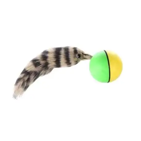 Balle furet en mouvement jeu boule automate - Totalcadeau