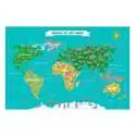 Mappemonde Planisphère des animaux carte du monde à gratter