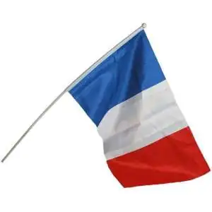 Drapeau de la France 30 x 45 cm avec baton 60 cm