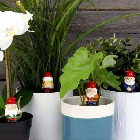 4 Nains de jardin grossiers drole et humoristique gnome à planter