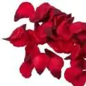 Pétales de roses artificiels 100 pieces Petale Rouge Romantique